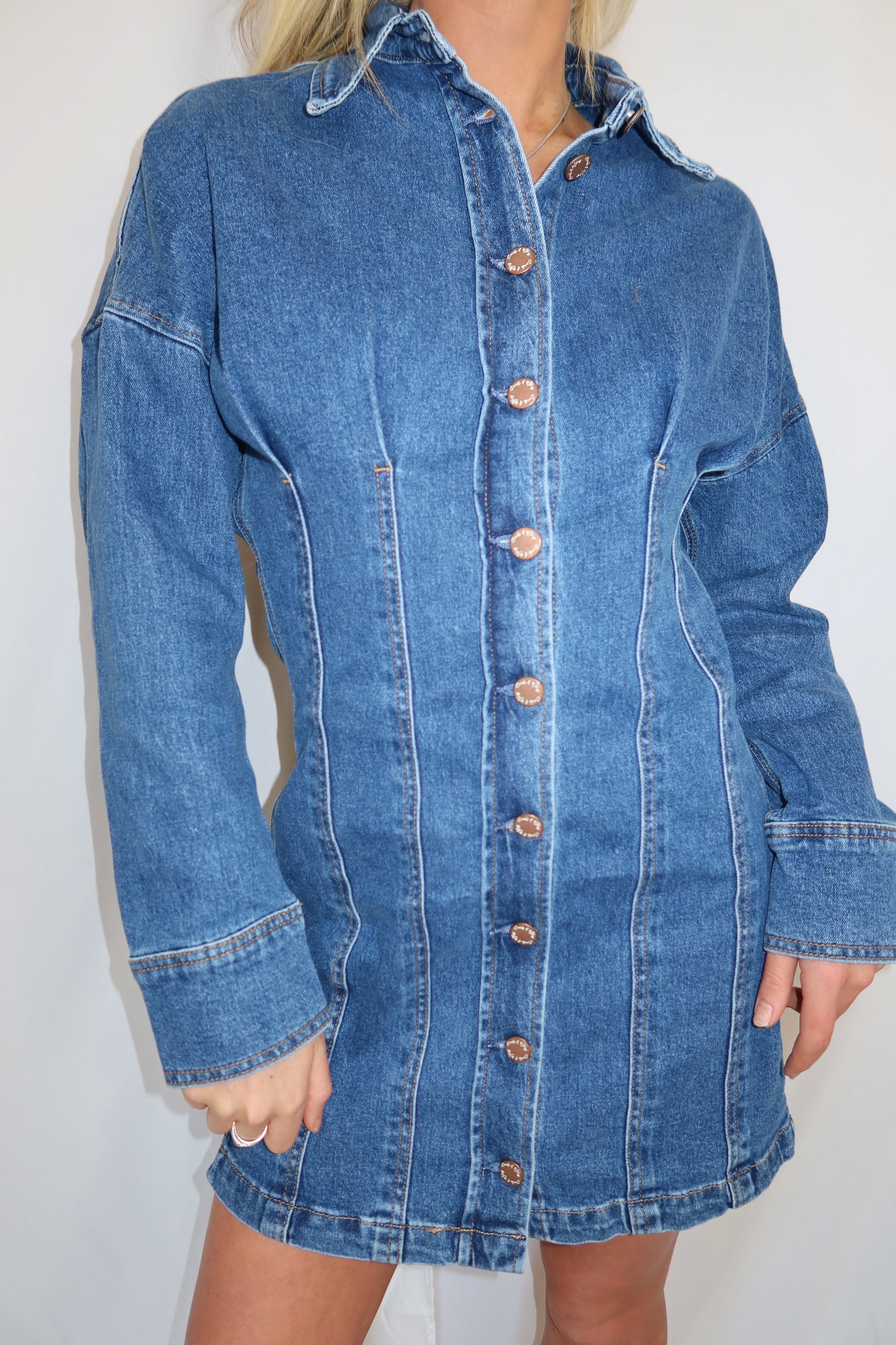 Collins Button Down Denim Dress