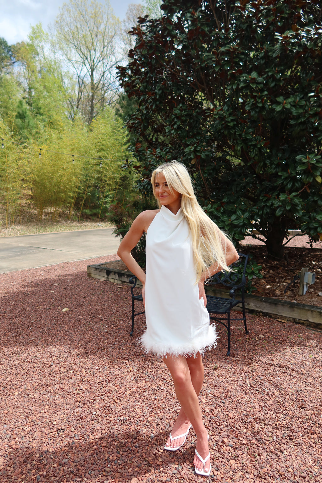 The Poise Mini Dress