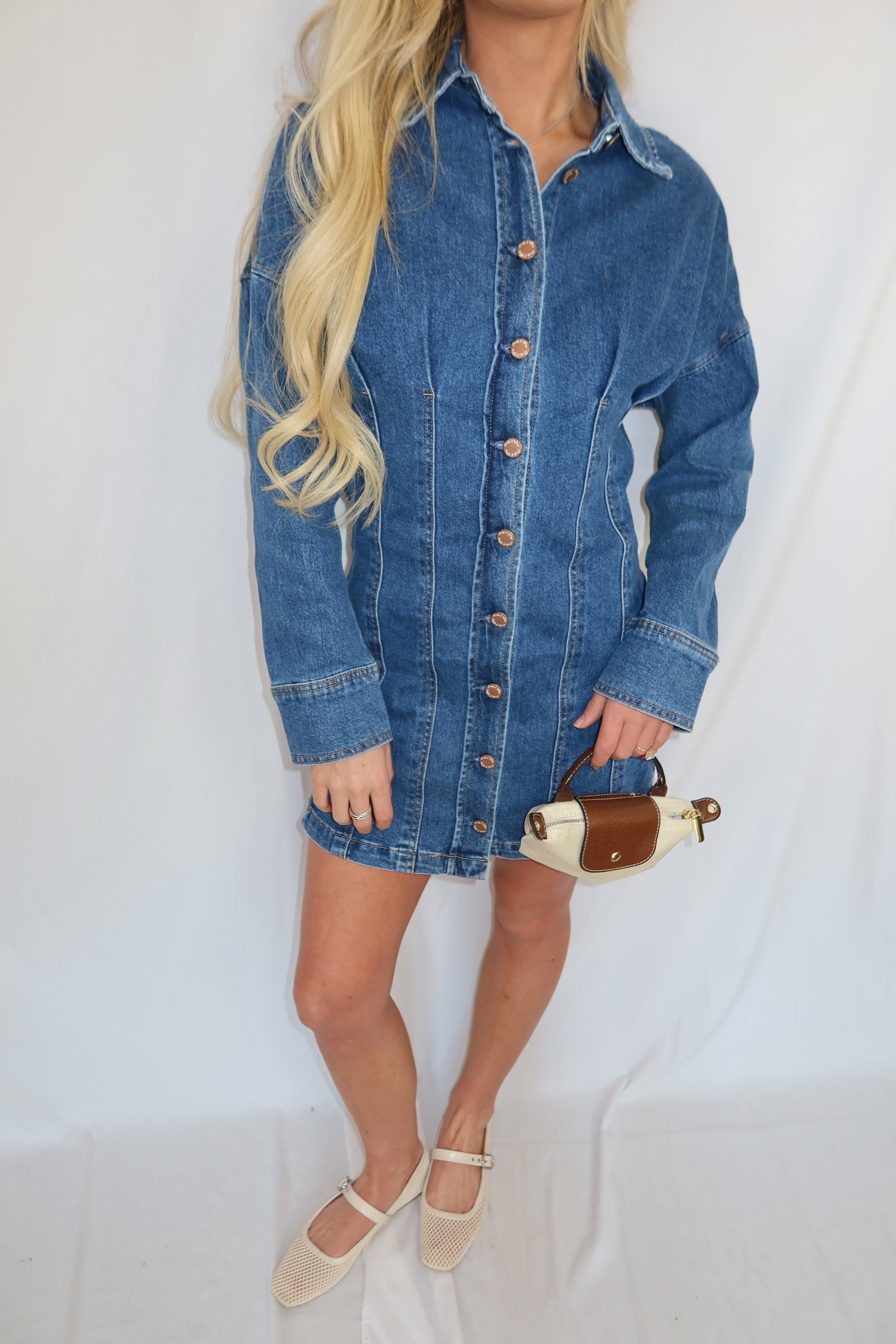 Collins Button Down Denim Dress