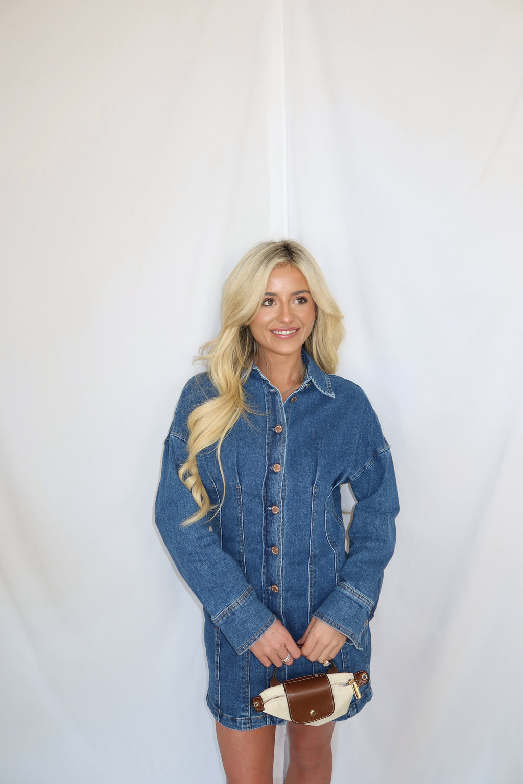 Collins Button Down Denim Dress