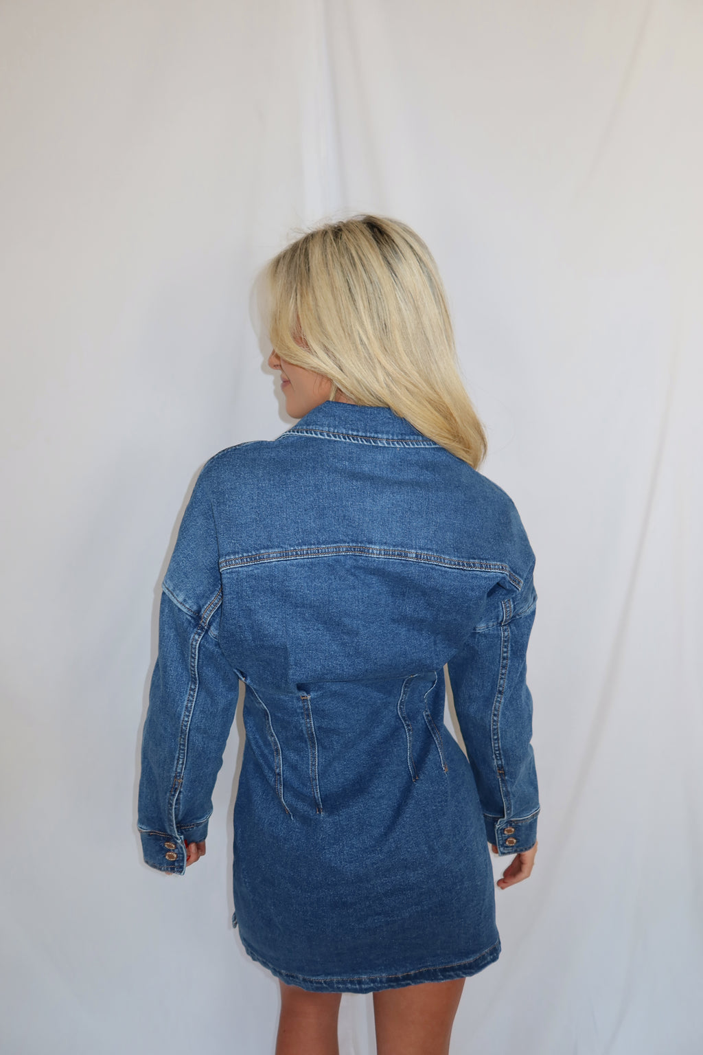 Collins Button Down Denim Dress