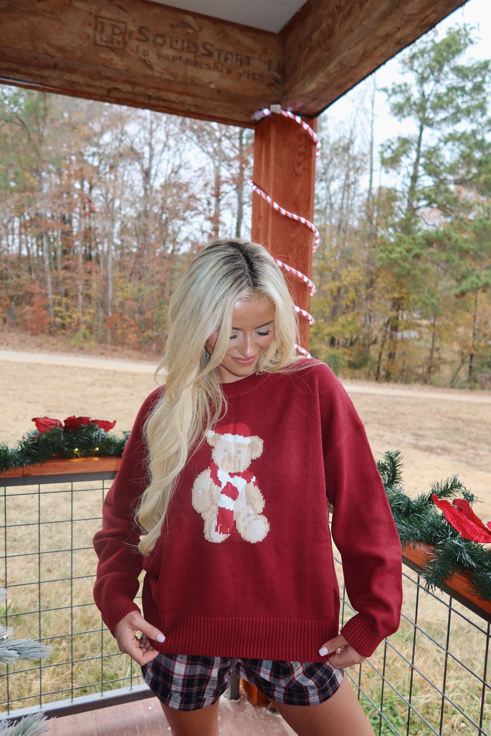 Santa Bear Sweater