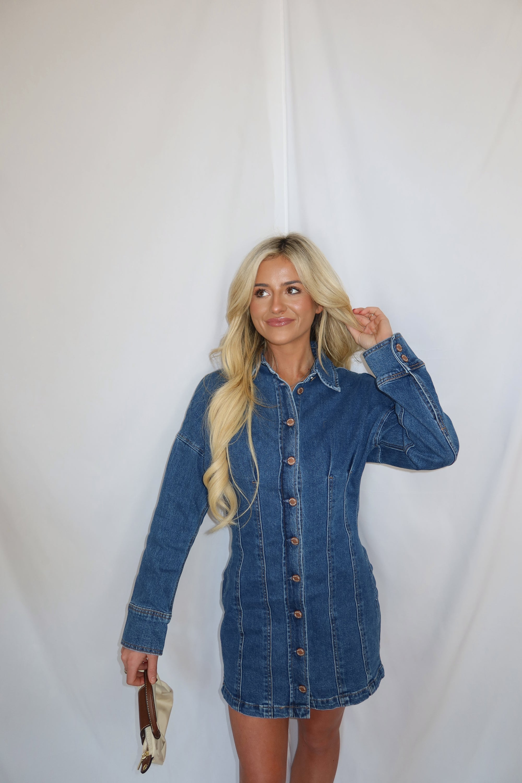 Collins Button Down Denim Dress